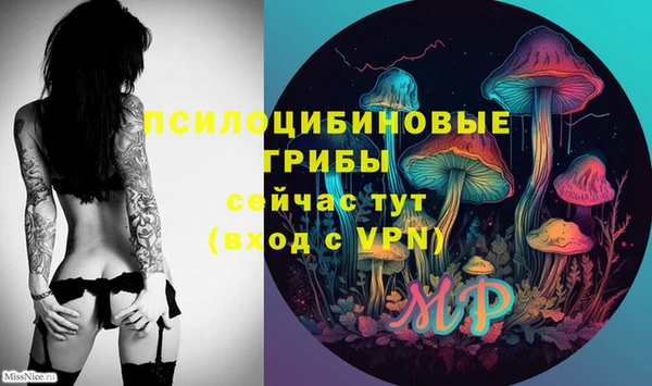 гидропоника Строитель