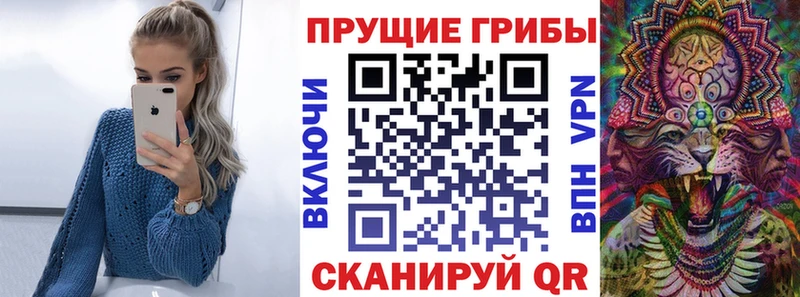 Псилоцибиновые грибы ЛСД  Купить закладки  Чердынь 