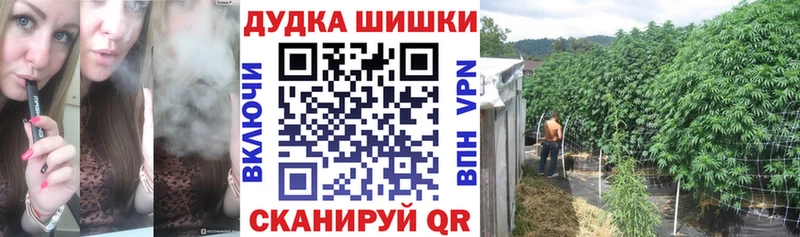 Купить закладки  Чердынь  Канабис VHQ 